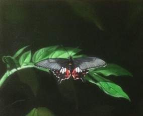 Butterfly Green
oil on canvas
8 x 10
$150